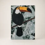 Bird Shadow Art